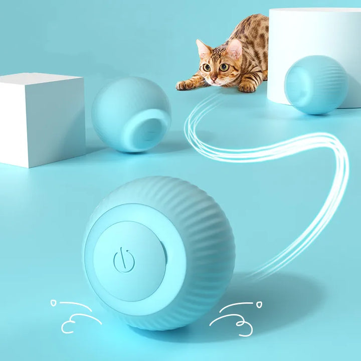 Smart Cat Ball Toys